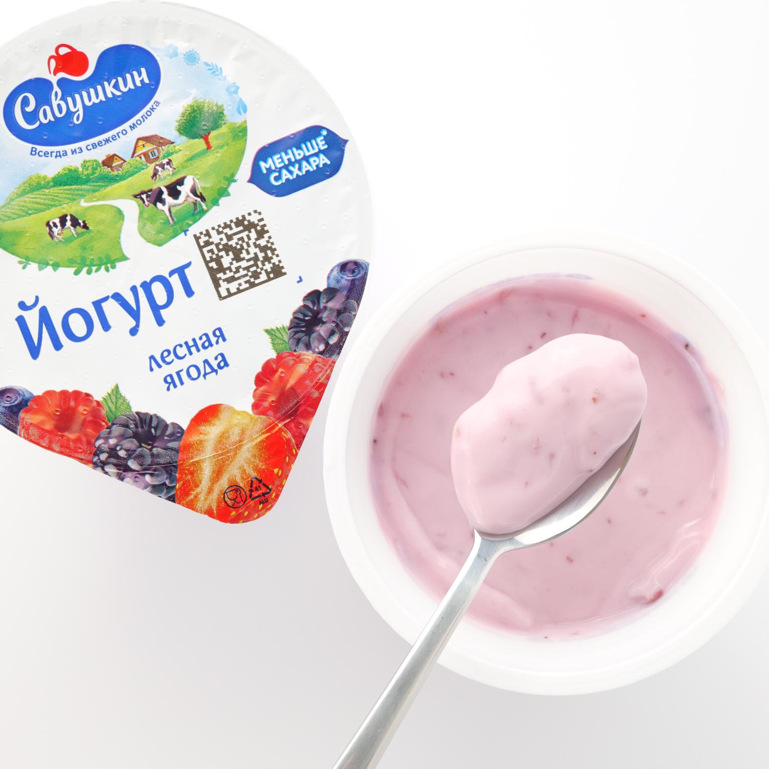 Yoghurt With Fruit Filler Wild Berry 